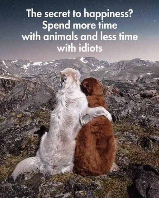 That's an awesome idea!...