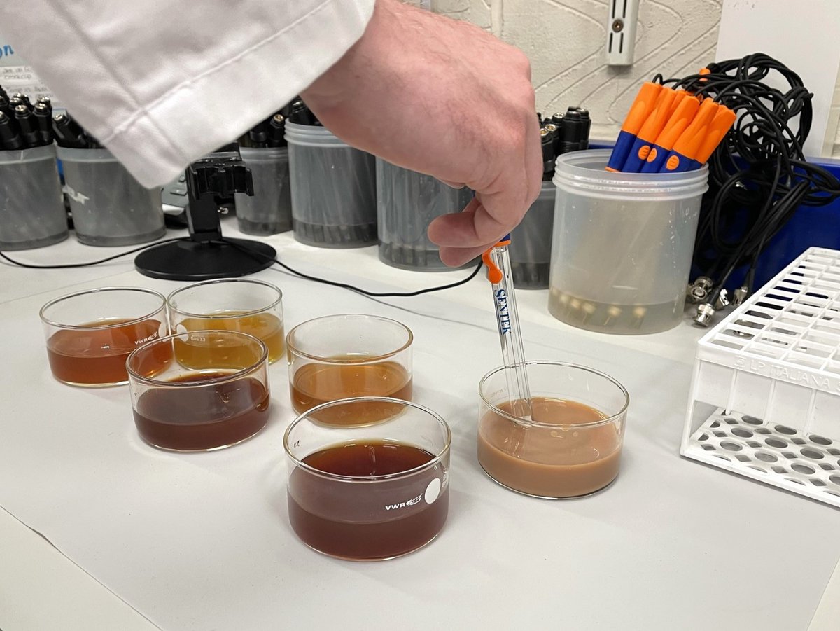sentek_ltd's tweet photo. It's National Tea Day!! Let’s see how the pH differs between these teas!
Which of these is your favorite? 🫖
#sentekproducts #nationalteaday #tea #cuppa #pH https://t.co/MCcMBzkfQw