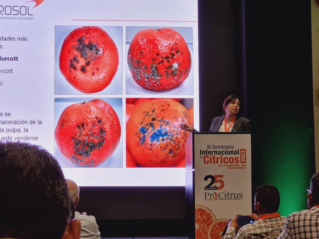 citrosol_com's tweet photo. 🍊 🍋 #CITROSOL en el XI SEMINARIO INTERNACIONAL DE #CÍTRICOS 2023, organizado por #Procitrus en su 25 ANIVERSARIO, donde fuimos AUSPICIADOR PLATINO.
📣📣 ¡Gracias a todos los asistentes de nuestras conferencias y sus visitas a nuestro stand! https://t.co/EJ1k2sXYu9