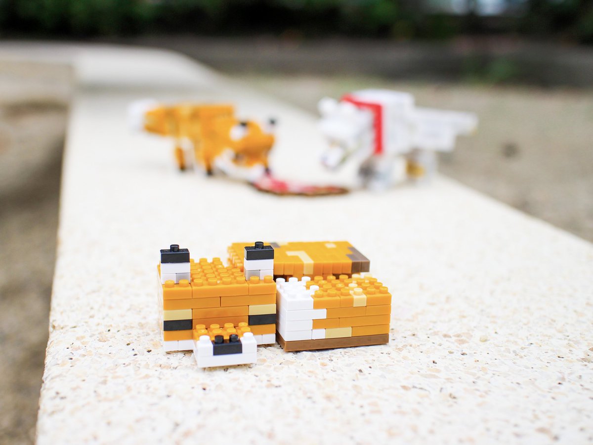 _ottdesign_'s tweet photo. 太陽光だとパキッとベタ色も発色いい!
暗所+ライトでは印影付くけど
ベタ色がまだらになる😝
ムズカシ-ゼ!
#プチブロック #マインクラフト #minecraft #minecraftfox https://t.co/ZHQxFFPjmb