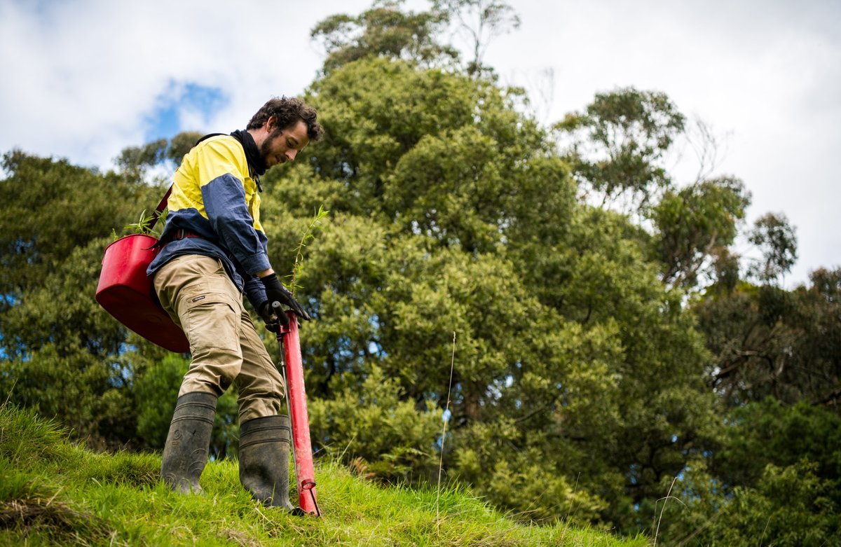 Nestlé (@nestle) on Twitter photo Check out our 2022 progress made in renewable electricity, regenerative agriculture and deforestation-free supply chains, as we work toward net-zero by 2050: bit.ly/3Km2uGh (via <a href="/FoodBizNews/">Food Business News</a>) Check out our 2022 progress made in renewable electricity, regenerative agriculture and deforestation-free supply chains, as we work toward net-zero by 2050: bit.ly/3Km2uGh (via <a href="/FoodBizNews/">Food Business News</a>)