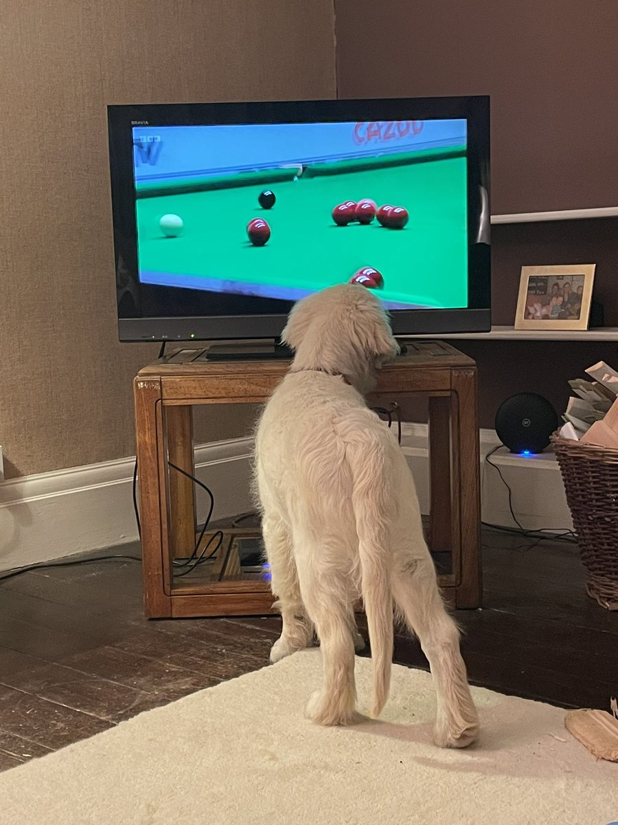 Louis has a surprising interest in the snooker…