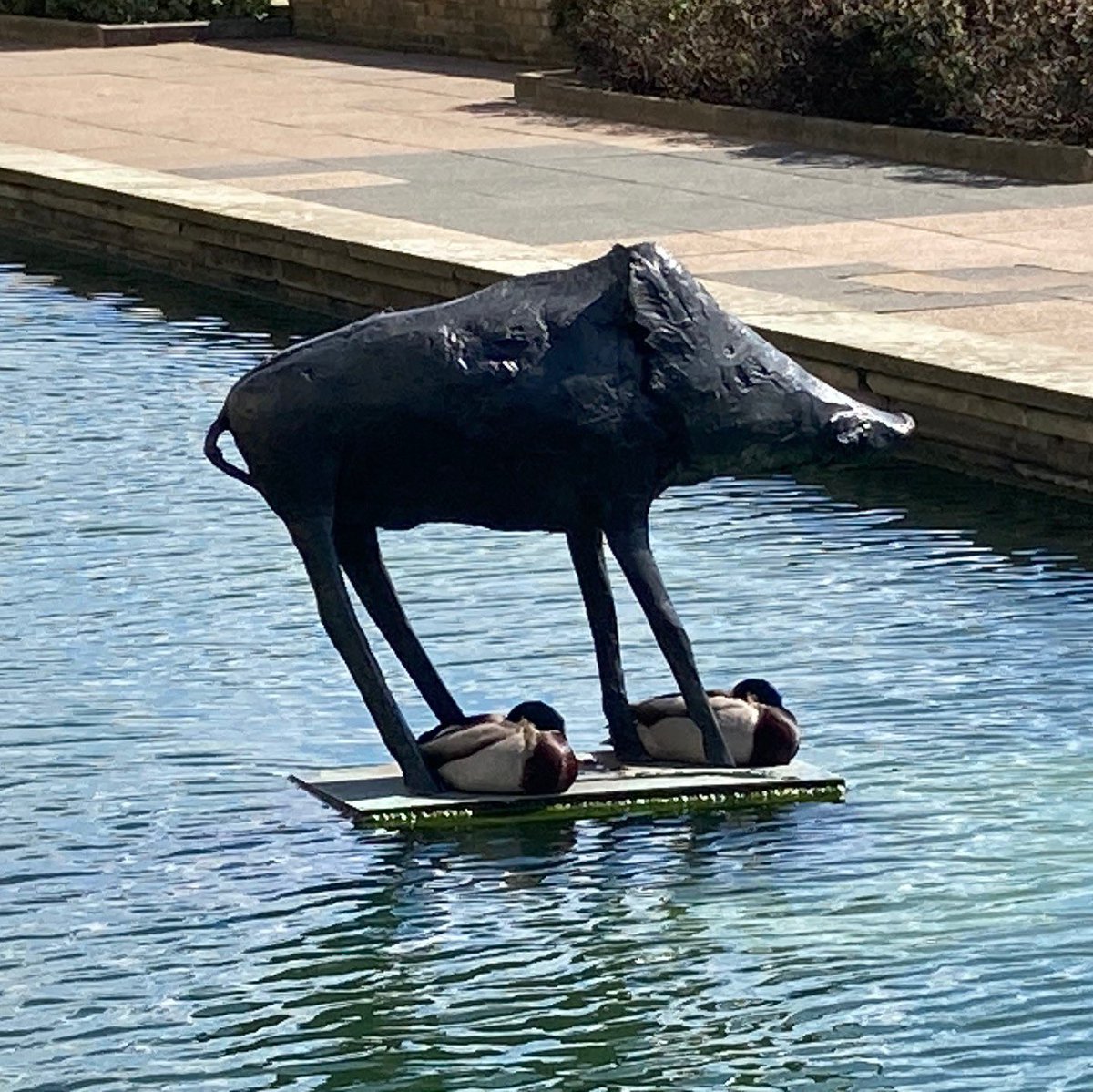 Harlow Sculpture Town tweet media