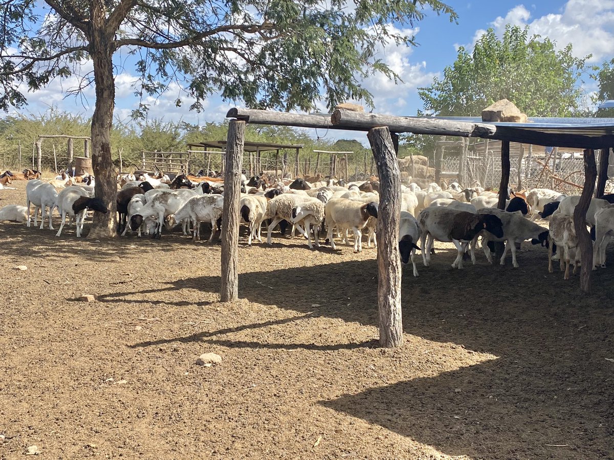 Klipranch tweet media