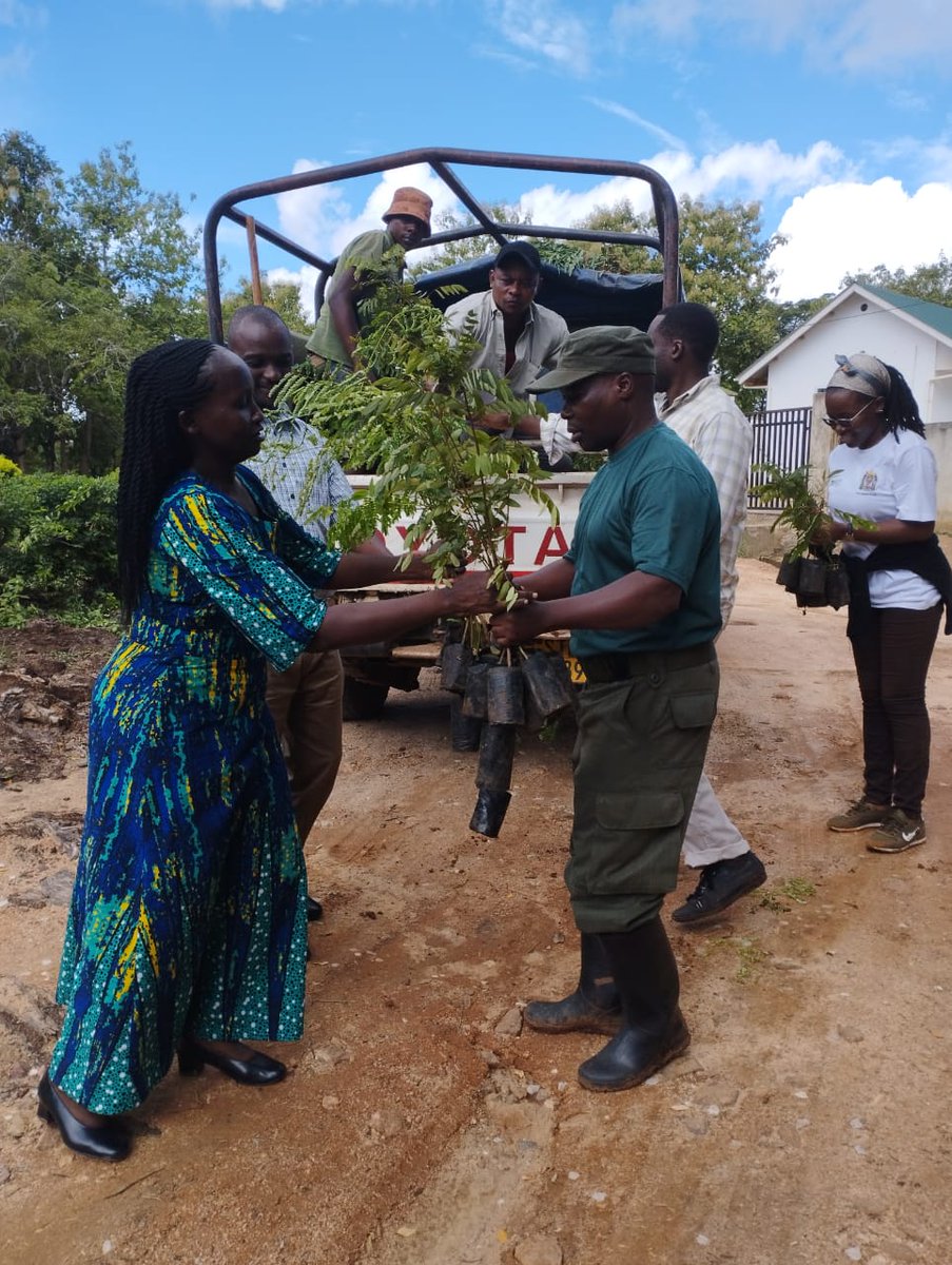 NIMR-Amani Medical Research Centre tweet media