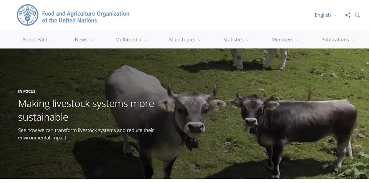 Thanawat Tiensin (@thanawattiensin) on Twitter photo Making livestock systems more sustainableππ£πππππͺπππ¦’π¦
See how we can transform livestock systems and reduce their environmental impact. πRead more details <a href="/FAO/">Food and Agriculture Organization</a> website. fao.org/home/en
<a href="/FAOLivestock/">FAO Livestock</a> Making livestock systems more sustainableππ£πππππͺπππ¦’π¦
See how we can transform livestock systems and reduce their environmental impact. πRead more details <a href="/FAO/">Food and Agriculture Organization</a> website. fao.org/home/en
<a href="/FAOLivestock/">FAO Livestock</a>