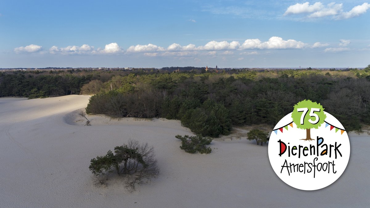 Vanavond is het #architectuurcafé 'Lang zal die leven?' over de #verdroging van het bos van DierenPark Amersfoort. Kom je ook? Tickets via:
fasade.nl/agenda/archite…
<a href="/dpamersfoort/">dpamersfoort.bsky.social</a> <a href="/HNSland/">H+N+S</a> <a href="/burgerszoo/">Burgers' Zoo</a> <a href="/Gem_Amersfoort/">Gemeente Amersfoort</a> #haverdroeze #utrechtslandschap