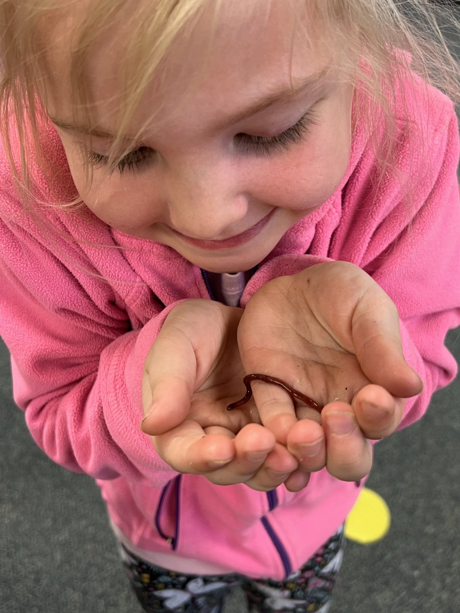 EastJordanSTEM's tweet photo. I wasn’t sure the Kindergarten students would touch the worms for our composting lesson. Little did I know they’d become fast friends and start naming them! #MeetRalph #Worms #EJSTEM #EJrocks https://t.co/2Gf5FS63sI