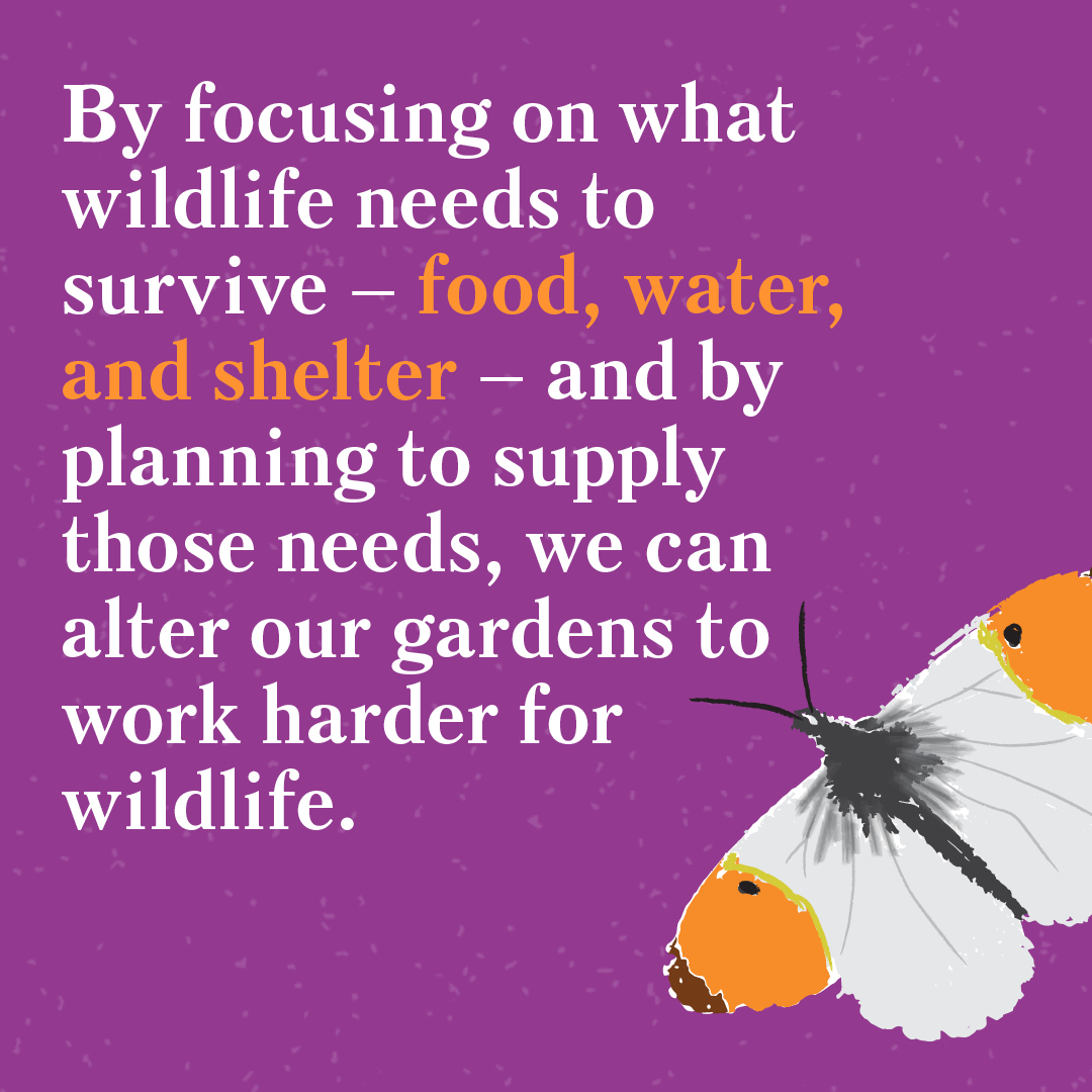 DK Books UK tweet media