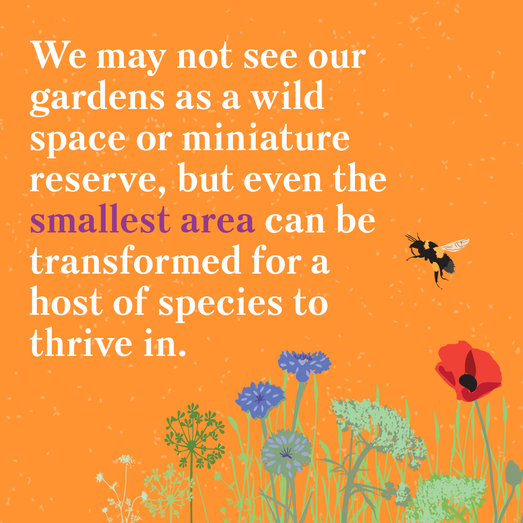 DK Books UK tweet media