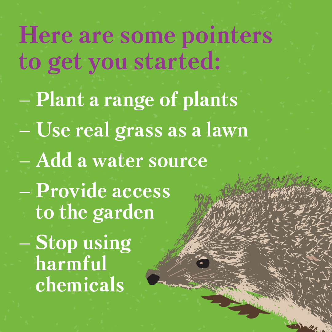 DK Books UK tweet media