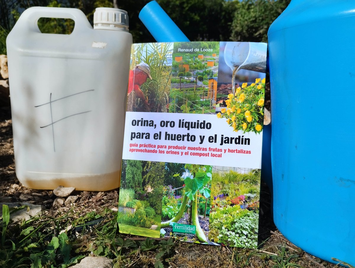 lafertilidad's tweet photo. 🔴 Este libro, ¿qué es?

 🌿 Es la edición en castellano del revolucionario libro “Orina, oro líquido para el huerto y el jardín” 

Este manual práctico nos descubre el inmenso valor de usar la orina en jardinería y horticultura.

👉 Ver libro https://t.co/iyBsd7mDVy https://t.co/NIAyr9wzDI