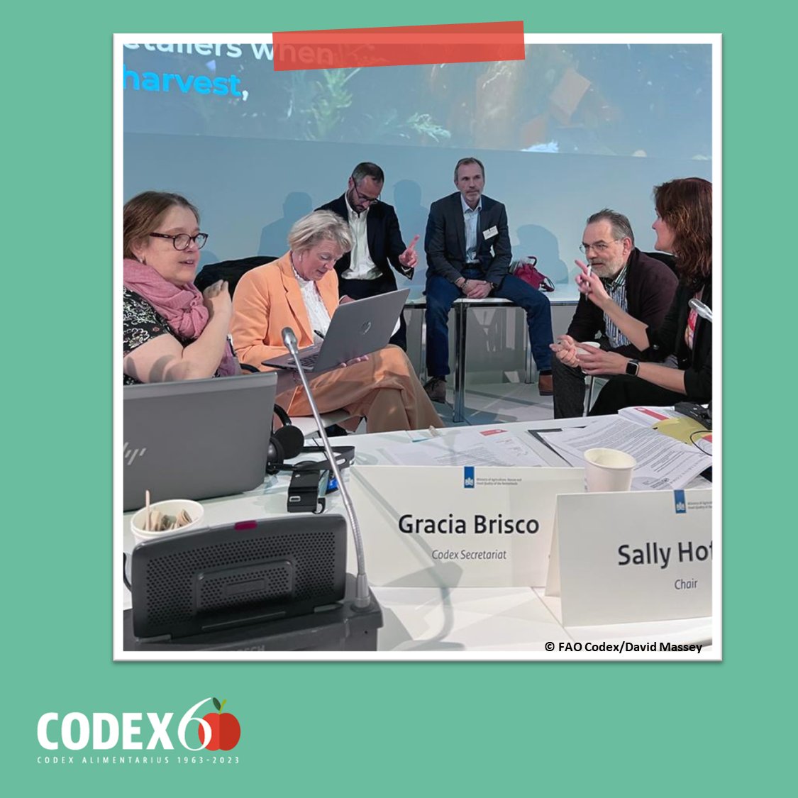 FAOWHOCodex's tweet photo. 📸 | Taking a beat at CCCF to draft accurate conclusions.
#CCCF16 | #CodexFamily https://t.co/trMwWEugzU