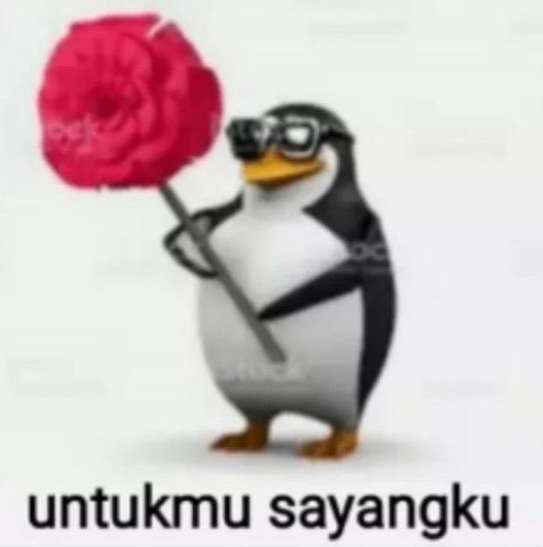 🥺🥺🥺 MAKASI BANYAKKK <a href="/thoumwa/">Naa🐈‍⬛</a> SANGAT GEMAS🌹🌸🌹🌸🌹🌸