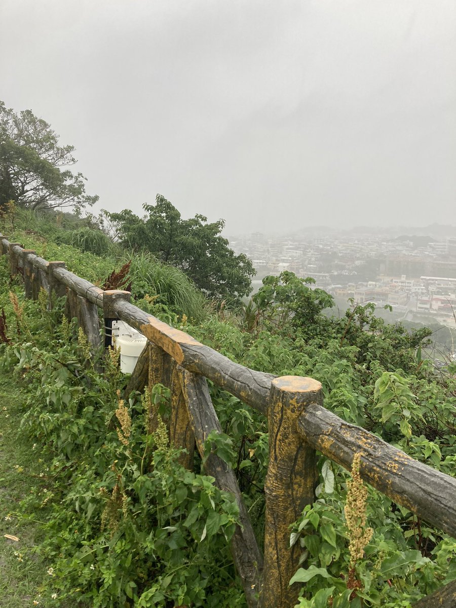 Ami_Adams8's tweet photo. Amazing time in Okinawa. Huge thanks to @william_m_adams for driving on the other side of the road while I navigated🤣 Meant a lot for me to actually be at Hacksaw Ridge, especially as I transition into new medical career https://t.co/n0SOuKA6d6