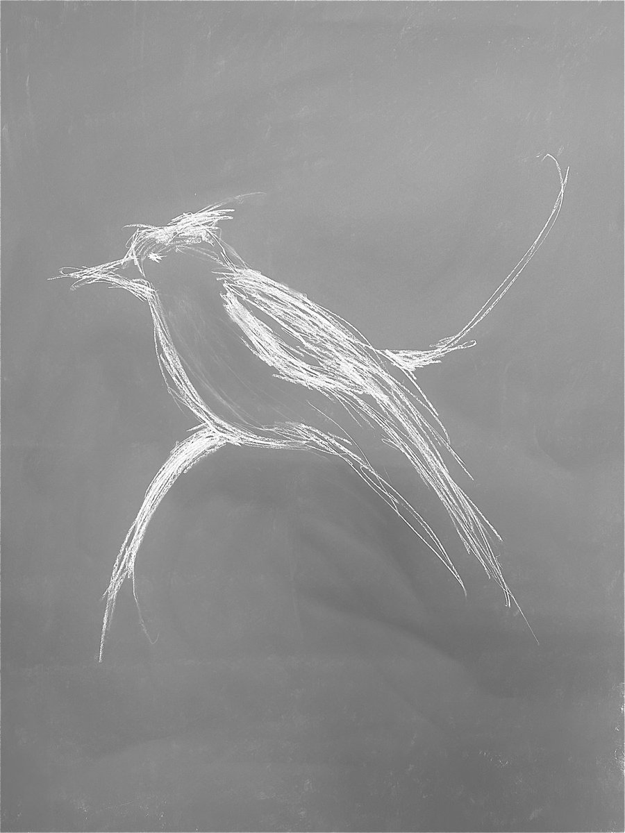 #TheWildEscape
<a href="/artfund/">Art Fund</a> 
This is a bird drawn in the ceramic galleries of <a href="/V_and_A/">V&A</a> for Earth Day to support the huge and fantastic 500 museum wide celebration with The Art Funds Wild Escape. 
This bird was drawn in porcelain chalks that I made in the studio.