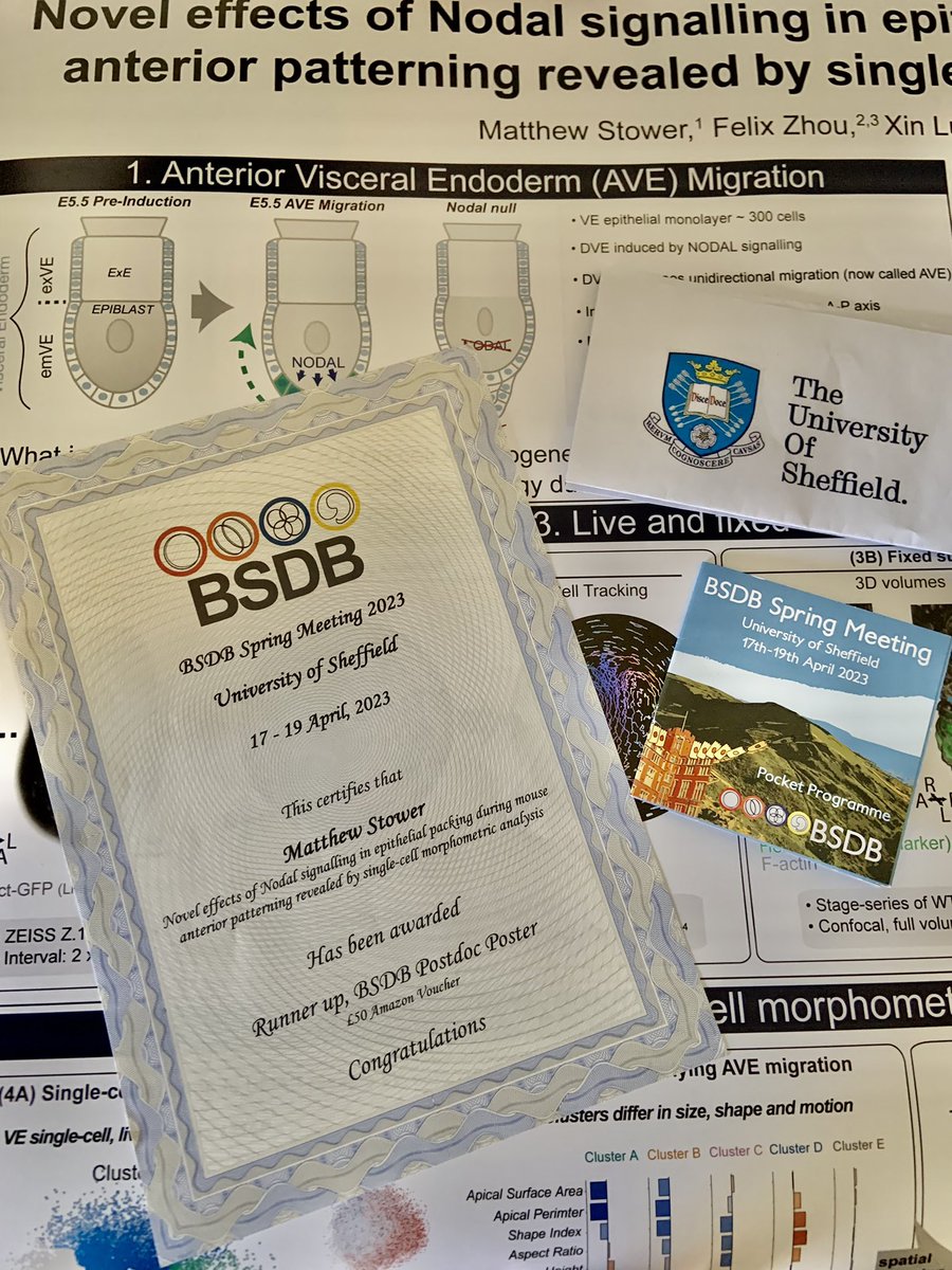 Thanks so much to the #BSDBSheffield for organising a really great meeting, and for my poster prize (a proud runner up!). Great meeting up with friends, old and new, and talking morphogenesis, cell migration and EMT