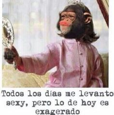 🤣🤣🤣🤣¡Es que no se puede aguantar lo guapa que me veo!