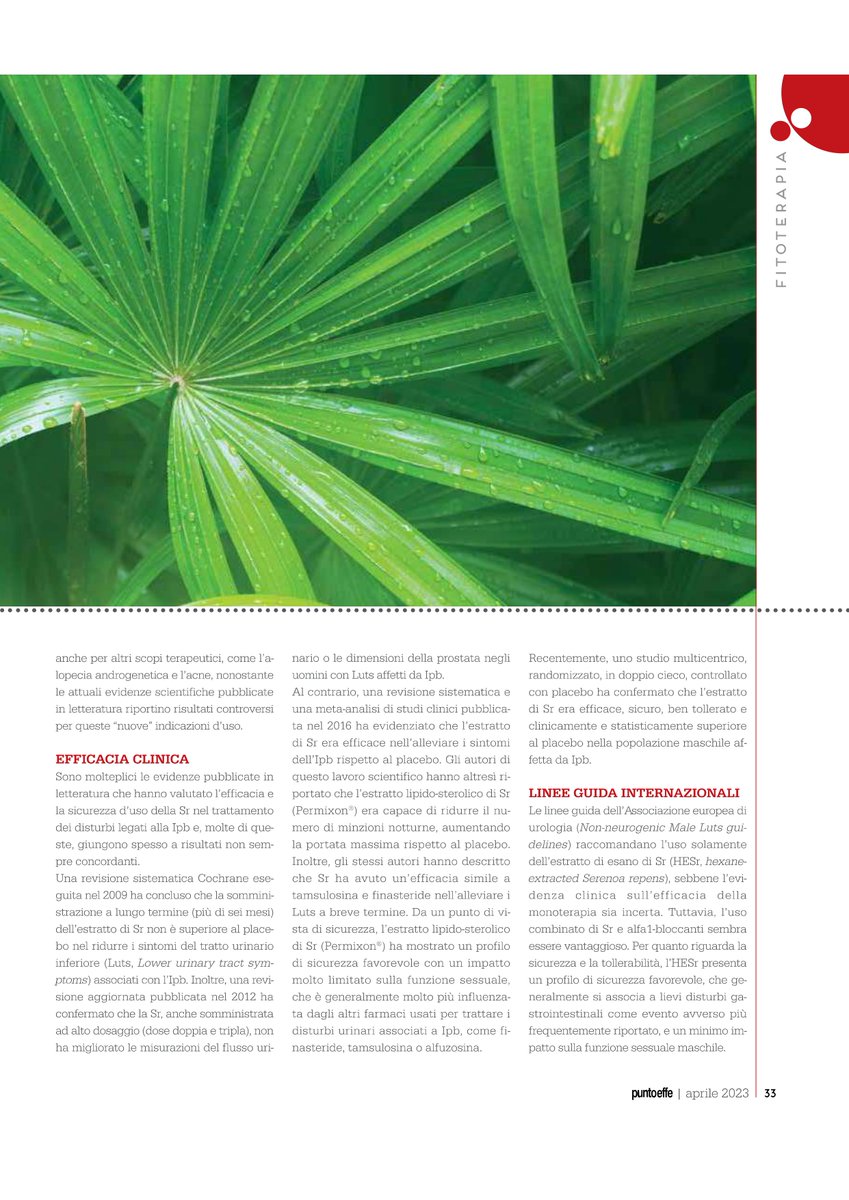 cucumba86's tweet photo. 🌿 Un disturbo diffuso. #Efficacia e #sicurezza d'uso dei #prodotti contenenti #Serenoa #repens, pianta di origine nordamericana, al centro di numerosi #studi preclinici e #clinici reperibili in #letteratura

a cura di  Giada Crescioli e Niccolò Lombardi
PUNTOEFFE n. 5/23 https://t.co/xfCS0eU6iP