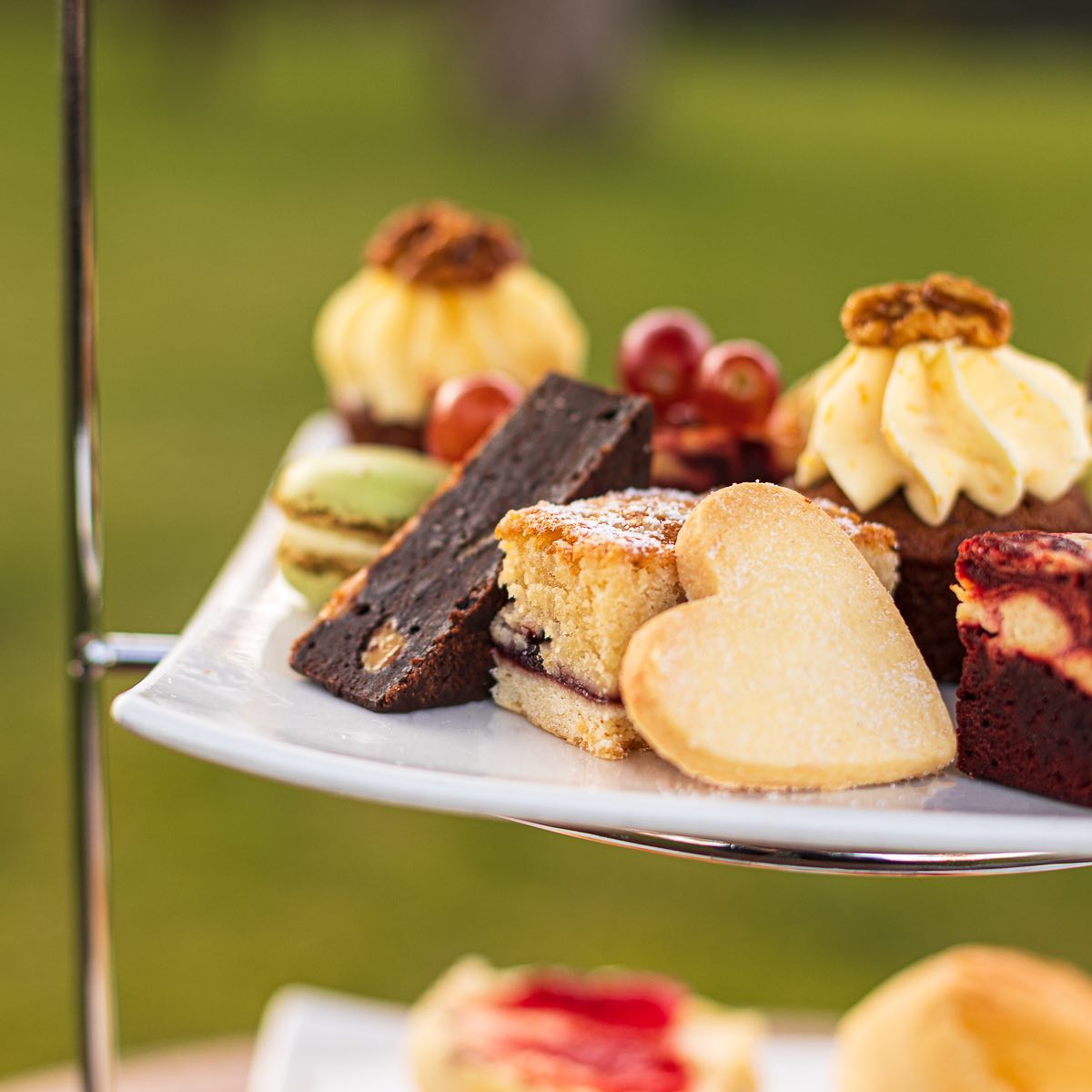 WeAcceptPets's tweet image. Knoll House is a charming, dog-friendly hotel located just a short distance from Studland Beach. From afternoon tea to an outdoor swimming pool guests are very well catered for.
weacceptpets.co.uk/Dorset/7465 
#Studland #Swanage #Dorset #Charming #Hotel #DogsWelcome @knollhousehotel