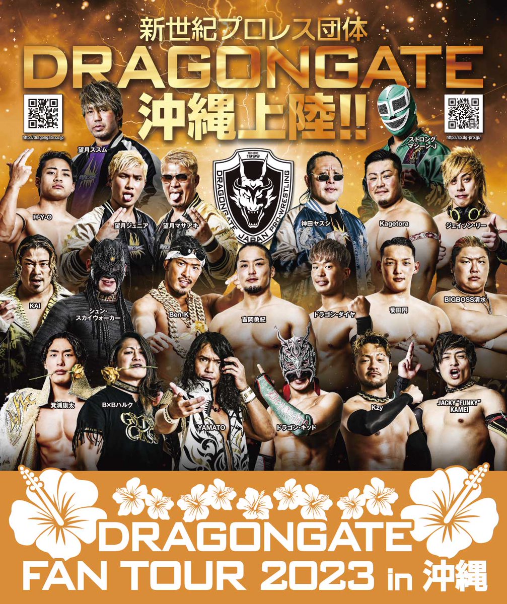 海外限定 DRAGONGATE ドラゴンゲート 問題龍 ウェブポン