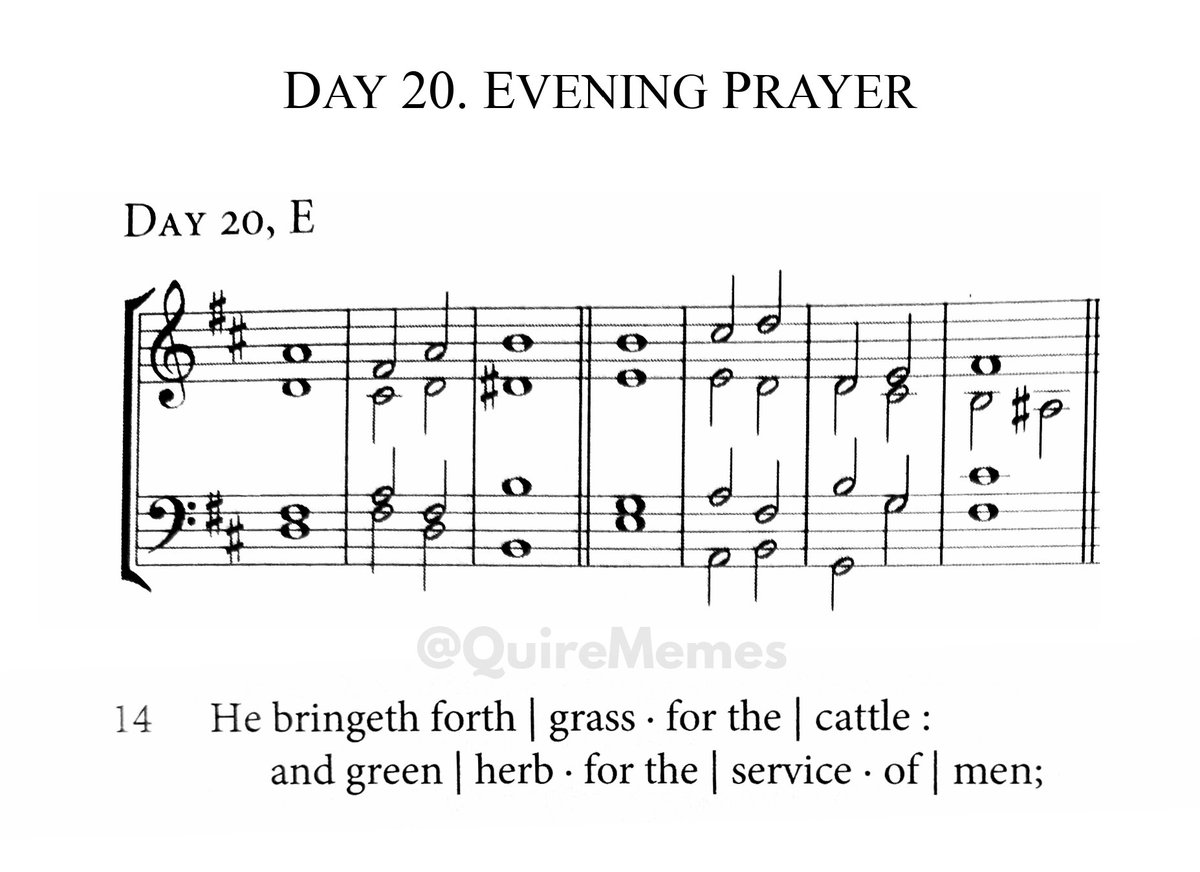 The psalm appointed for the 20th Evening is Psalm 104. David knew what he was about. (Incredibly, this is true.) #420