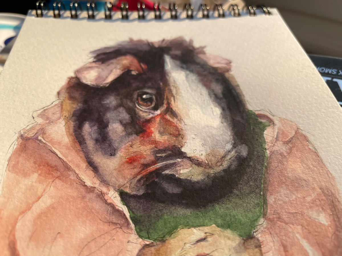 LydiaMcC414141's tweet photo. Pig in progress 🎨 

#guineapigs #painting #Watercolour #pen #illustrationartist #illustrations https://t.co/W3YxdyiLy6