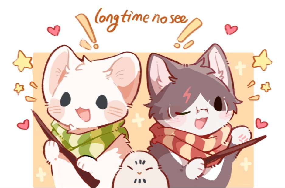 foxcaker182's tweet photo. #drarry https://t.co/WVwvMZrNLo