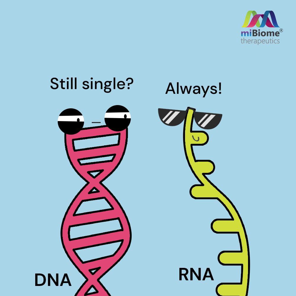 MibiomeT's tweet photo. DNA vs RNA ππ
#single #taken #DNA #RNA #genes #genetics #geneticdisorder #geneknockout #genomicsforall #genomicsforhealth #MiBiome #MibiomeTherapeutics https://t.co/U6d8XymcTf