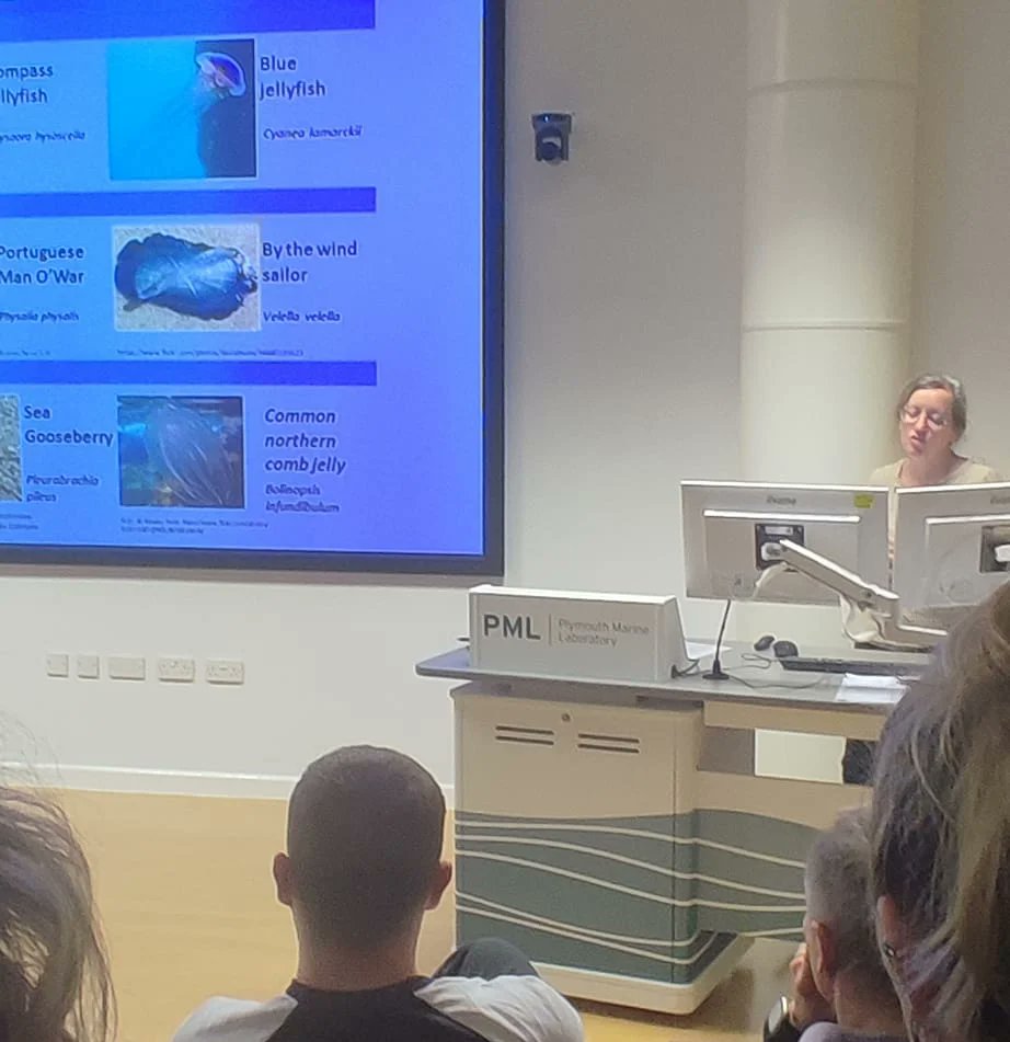 Seadream Education tweet media