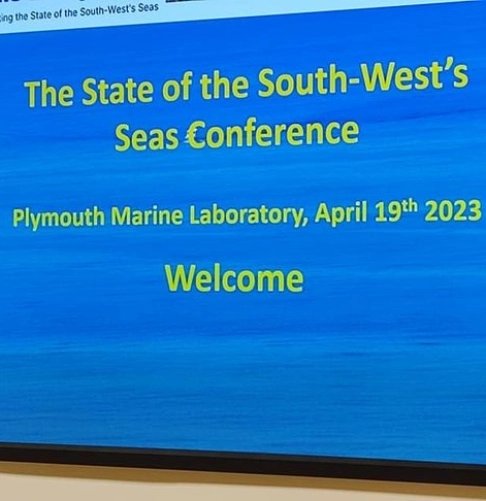 Seadream Education tweet media