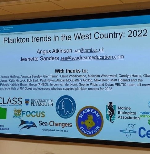 Seadream Education tweet media