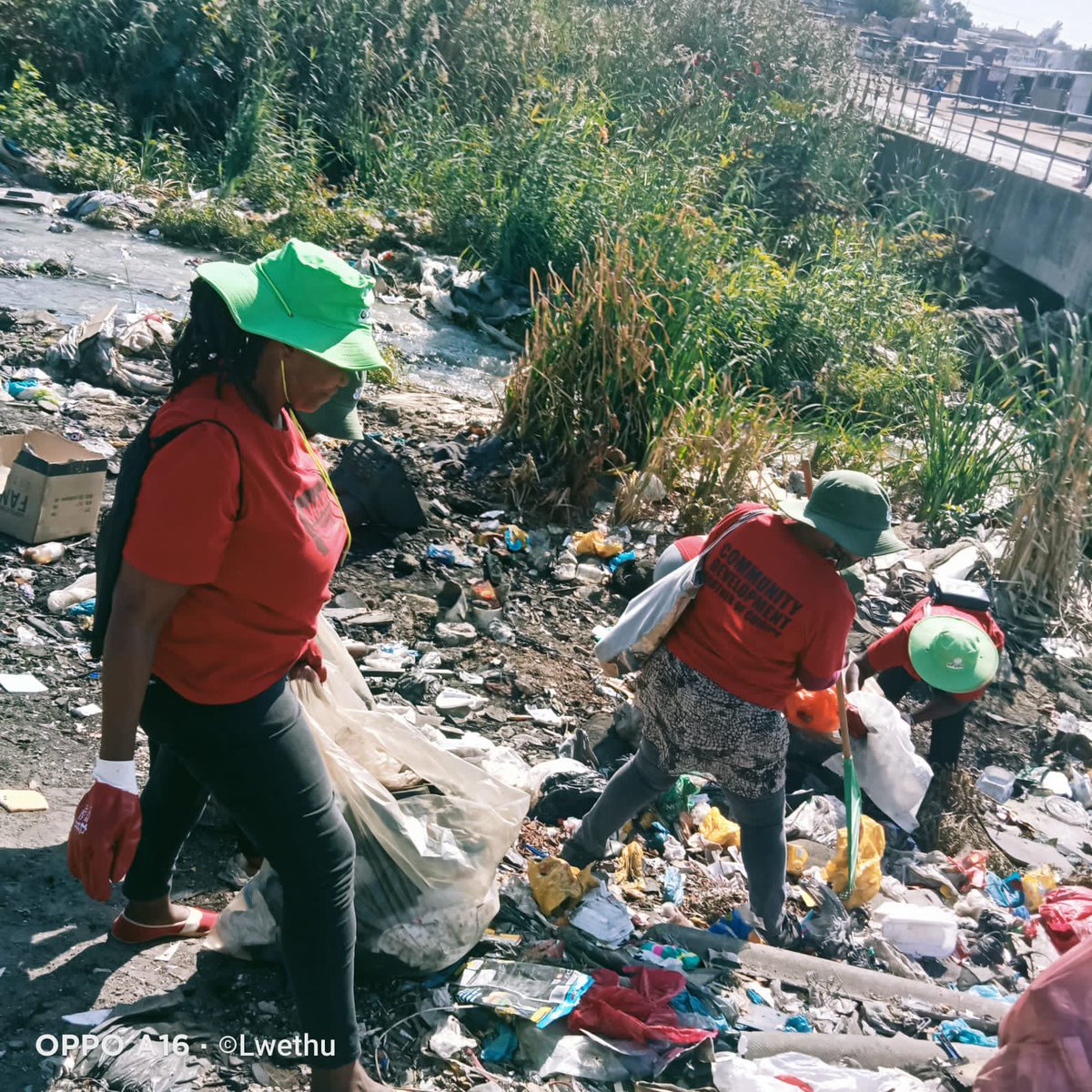 Maru Ciberconnect tweet media