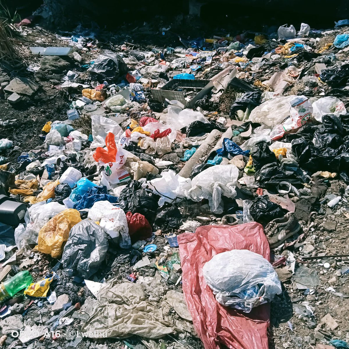 Maru Ciberconnect tweet media