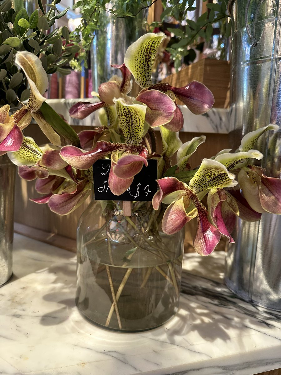 Nicola Brusatin tweet media