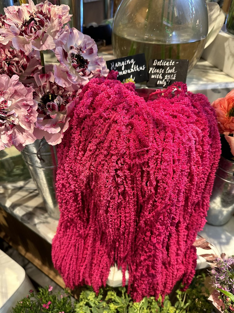 Nicola Brusatin tweet media