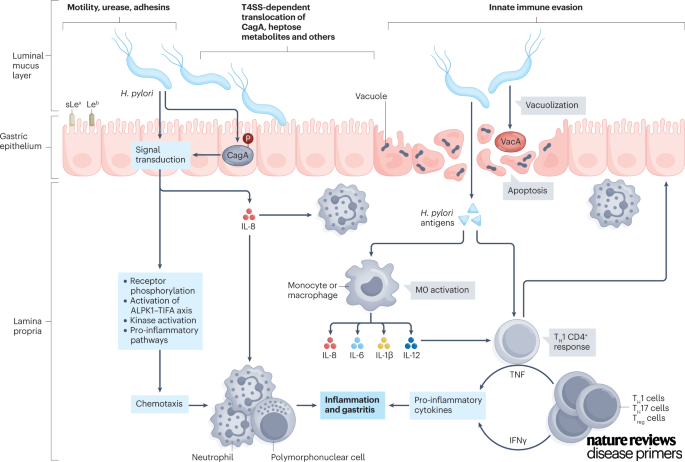 Nature Reviews Disease Primers on Twitter: