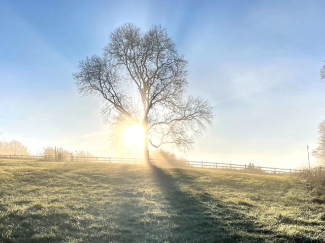 Join our #NatureConnections team for a free Wellbeing Walk on the @MendipHillsAONB. A one-off event for #MentalHealthAwarenessWeek @SomersetWT eventbrite.co.uk/e/wellbeing-wa…