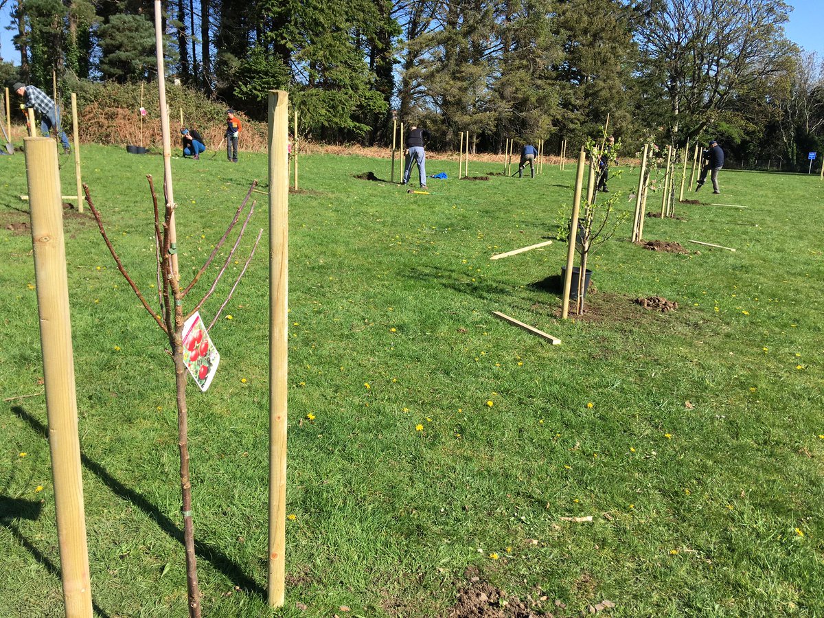 SeanOBaoill's tweet photo. Planting fruit trees this morning with Dolmens Climate Action Network and Mourne Heritage Trust https://t.co/iPouWZkWcm