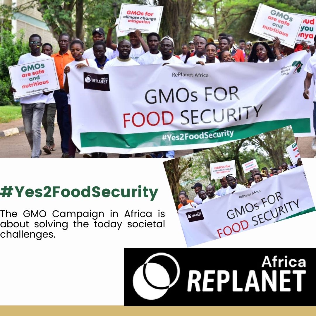 WePlanetAfrica's tweet photo. #GM technology is about drought resistant, high yielding, disease and pest resistant and high nutritive varieties that will solve the #food and #nutrition insecurity in our communities not leaving out climate change effects in our society today.
@letsreplanet @PatNanteza @jmmulet https://t.co/XxIr5rimSM
