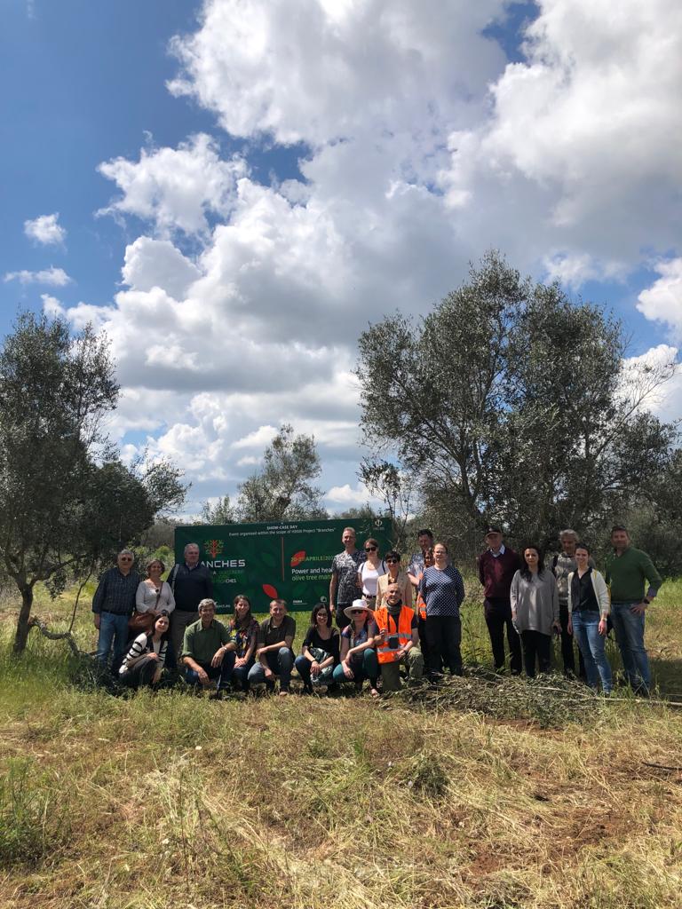 BRANCHES Showcase day FIUSIS!
International meeting from Apulia, Southern Italy, an example of circular bioeconomy #fiusis #branches #h2020europeanproject
#Bioeconomy