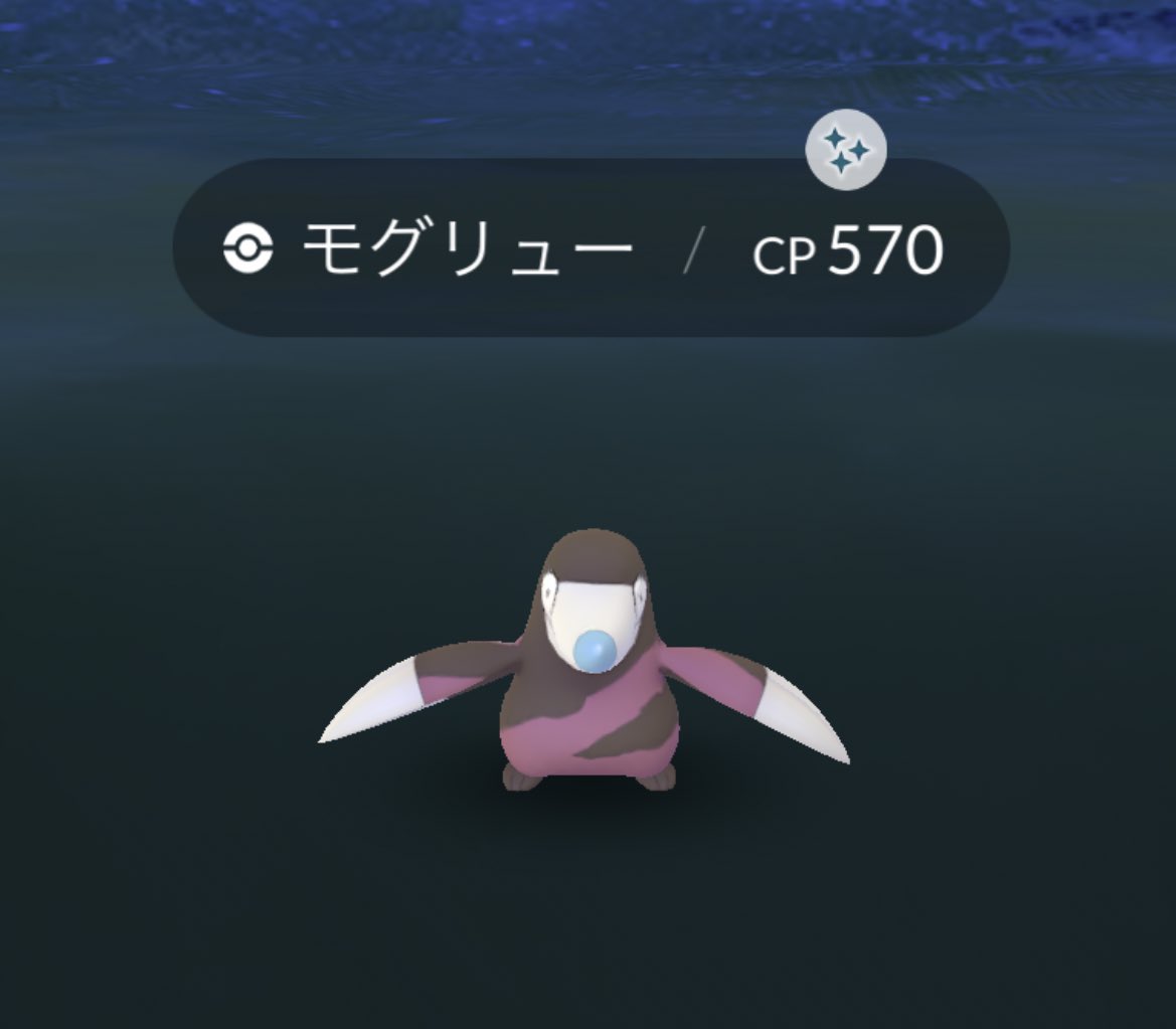 あゆぴか tweet media