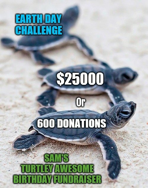 peekaboo_jen's tweet photo. Sam's Turtley Awesome B'day Fundraiser Earth Day Challenge 🐢🌏

We have 2 days till Earth Day ✨ folks.

Do you think we can bring our fundraising total to $25,000 or bring our total number of donations to 600 donations, in those two days?

#GoLounge ✨

https://t.co/o5PCvc9jJW https://t.co/yzaRRgsLBB