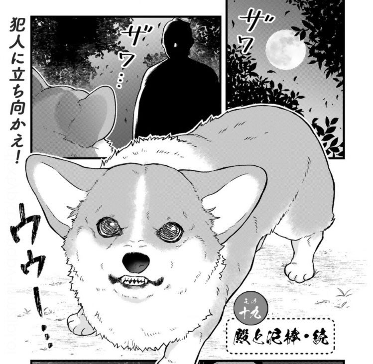 ✨本日最新話更新✨  5月15日コミックス②巻発売! 武士とコーギー🐶主従暮らし  『殿と犬』西田理英 comic-polaris.jp/tonotoinu/  泥棒を追いかけた犬! 真犯人を追い詰め…られるかな⁉︎ 怖いけど、頑張る犬回❗️  🐶アンケート感想はこちら 