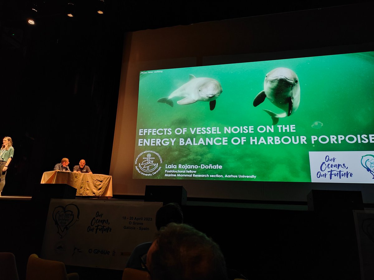 PorpoiseLady's tweet image. Now colleague @laia_rojano talking about the energetic balance of harbour porpoises exposed to vessel noise 
The work was done on tagged animals in Danish waters

#ECSconference2023