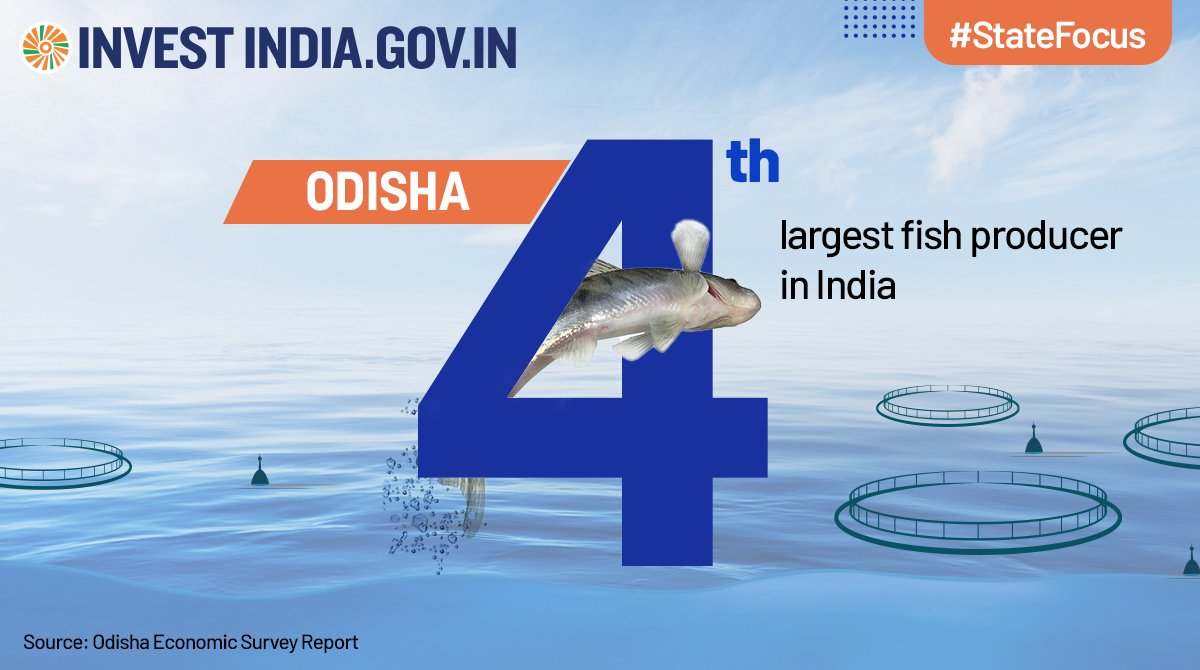 Invest India on Twitter "StateFocus Odisha produced 989000 MT of
