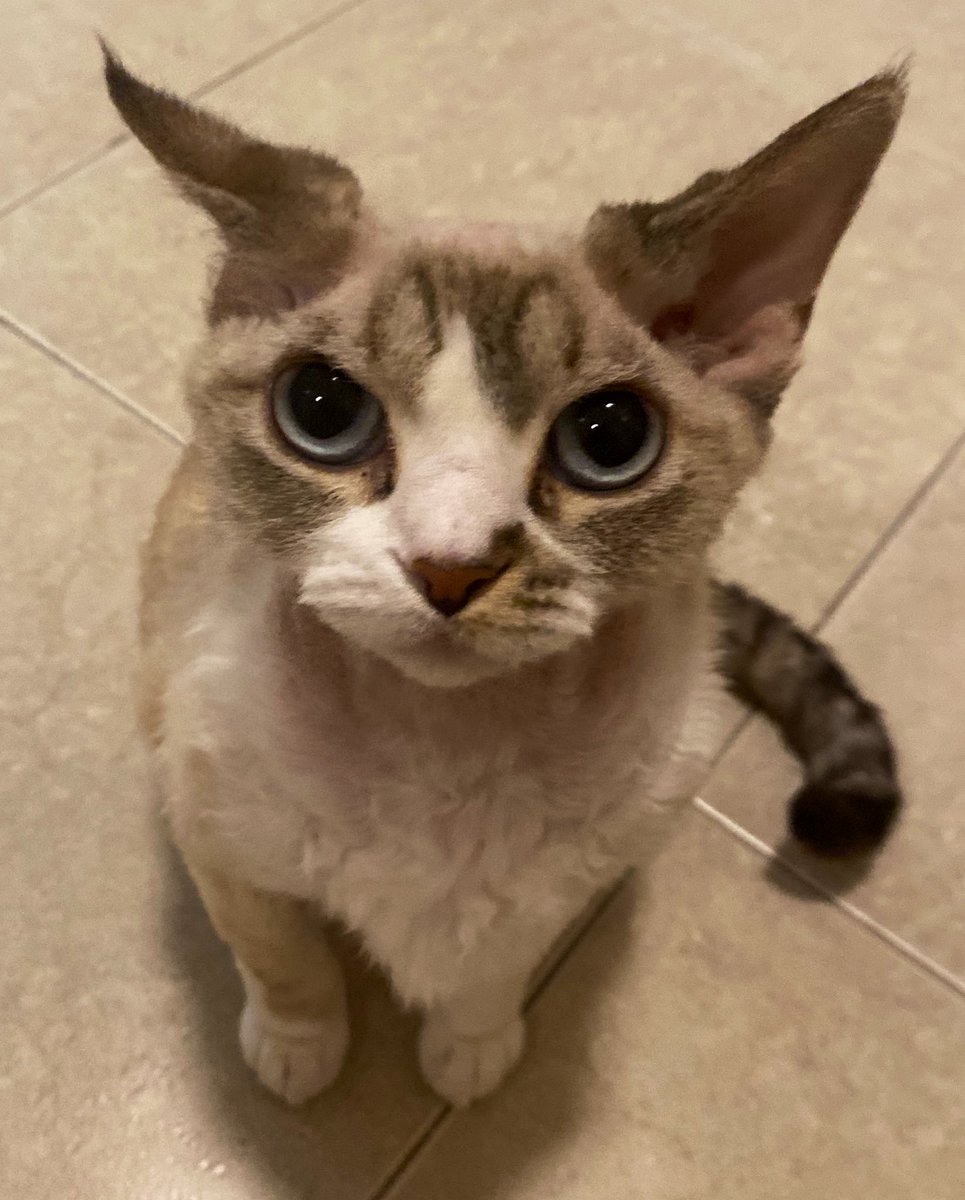 А скиньте, пожалуйста, песню, вышедшую за последний год, которая вам ну очень сильно нравится. На любую тему. Любой жанр.