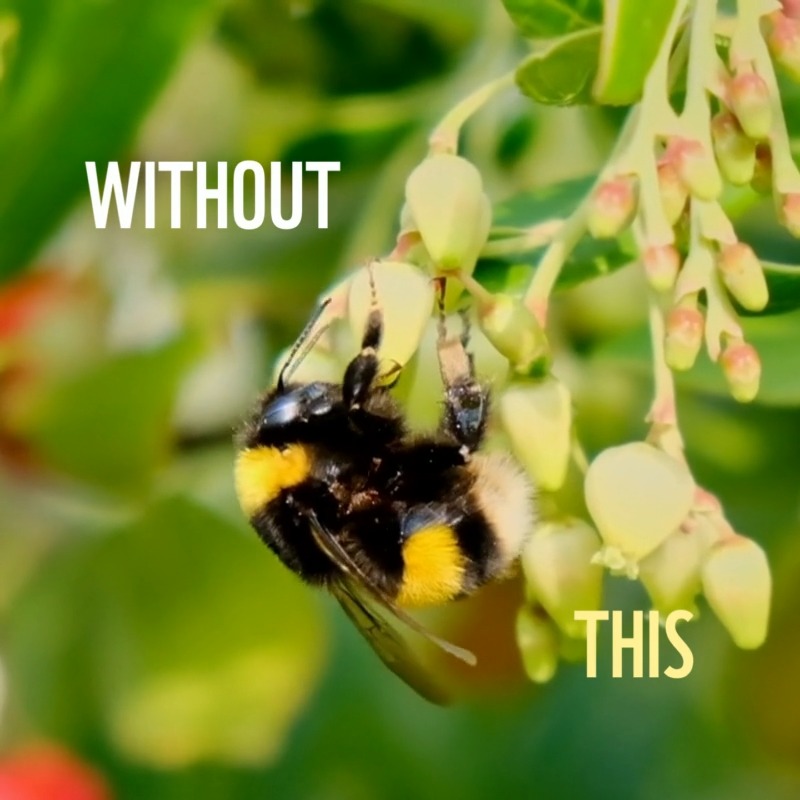 🇺🇸Julia🇺🇸SoFarRight on Twitter "RT WWF 70 of the top 100 food crops