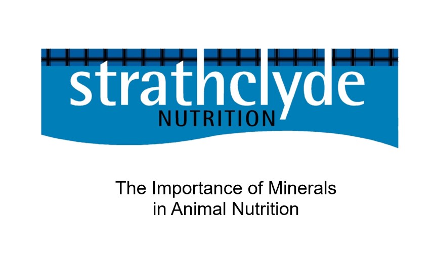Fascinating new CPD – The Importance of Minerals in Animal Nutrition - 4  points.  Focusing on essential major elements, trace elements and vitamins critical for production animals health and performance. #VBMS #SQPTraining #AMTRA #FeedyourHead #LovetoLearn