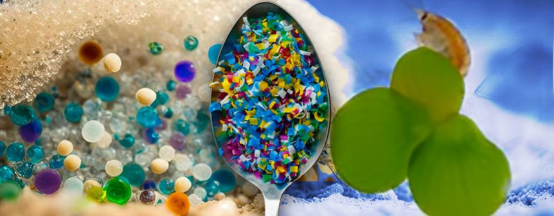 ENEAOfficial's tweet photo. #Microplastiche, uno studio @ENEAOfficial - @CNRsocial_  descrive il percorso di questo inquinante dall’acqua dolce alle radici delle piante acquatiche fino ai crostacei che se ne cibano, con danni per l’intero ecosistema.

👉https://t.co/FOkP5hap1K

#ambiente #salute @MASE_IT https://t.co/sItWq4Eb57